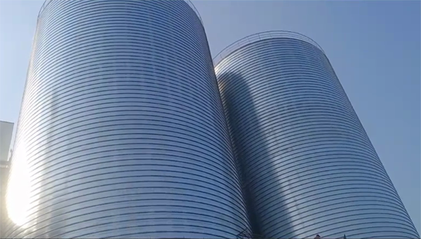 芒康2座混凝土高架卷板仓